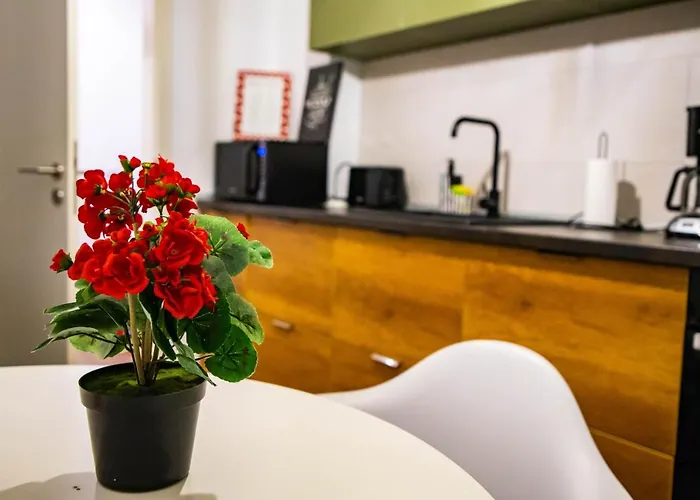 Appartement Dream Place Coresi Braşov